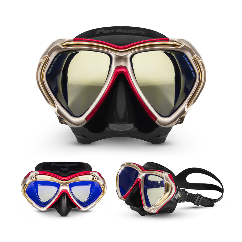 M2001S Paragon Mask