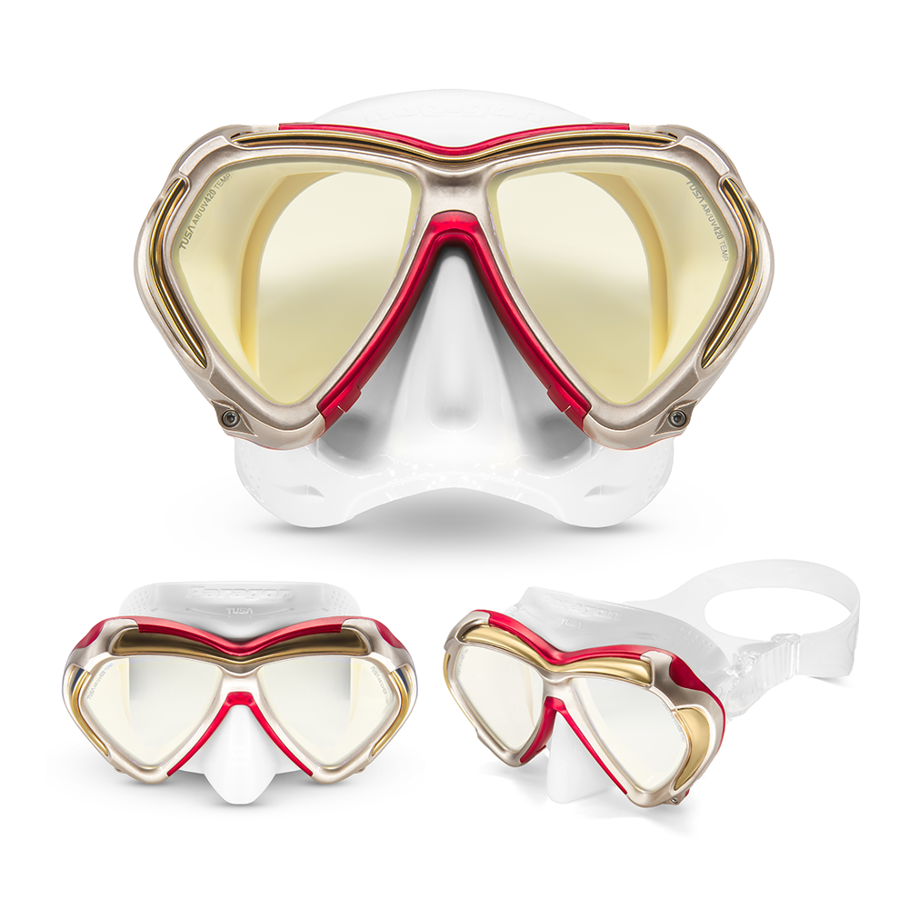 M2001S Paragon Mask