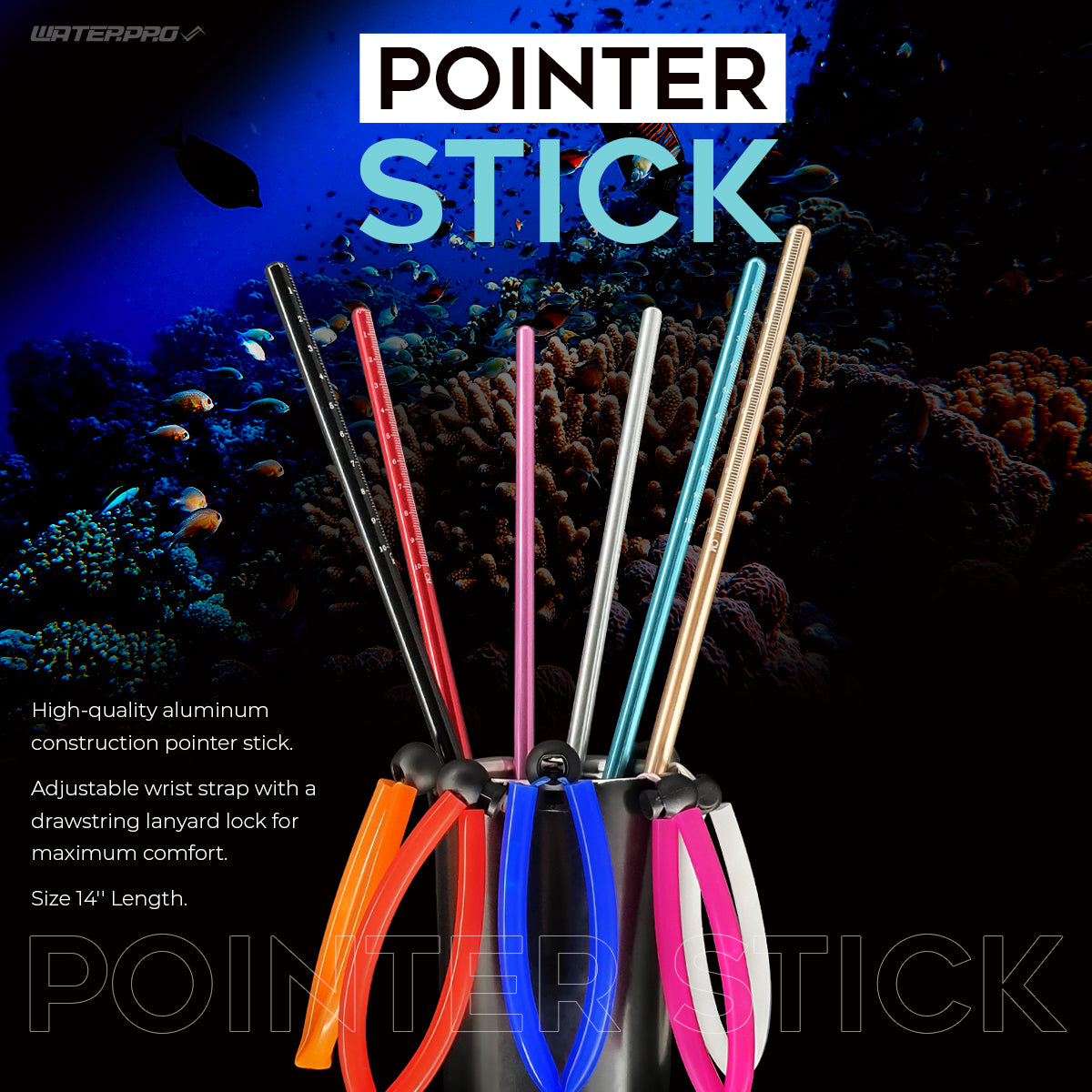 Pointer Stick
