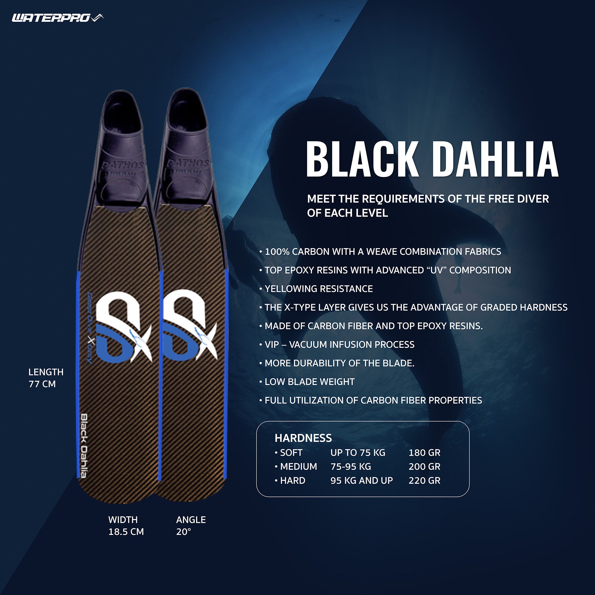 Black Dahlia