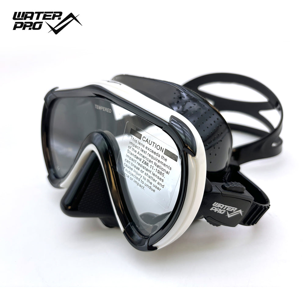 V24 Mask