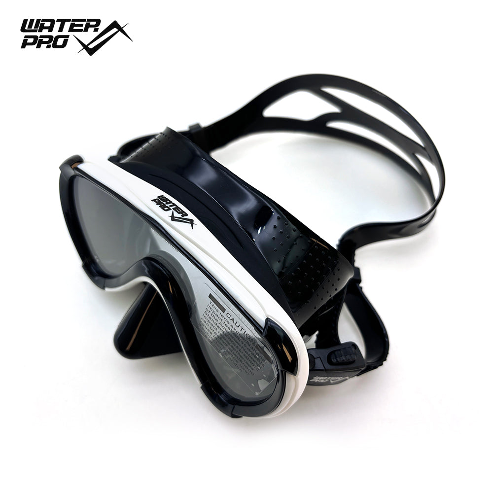 V24 Mask