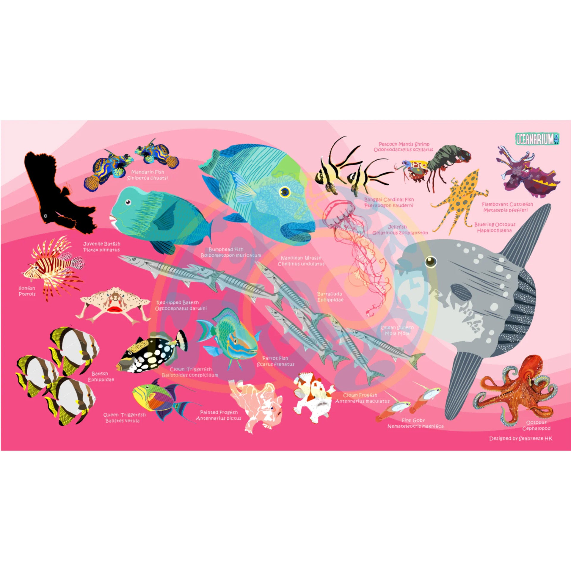 Oceanarium Dry Towel 80cm x 140cm.