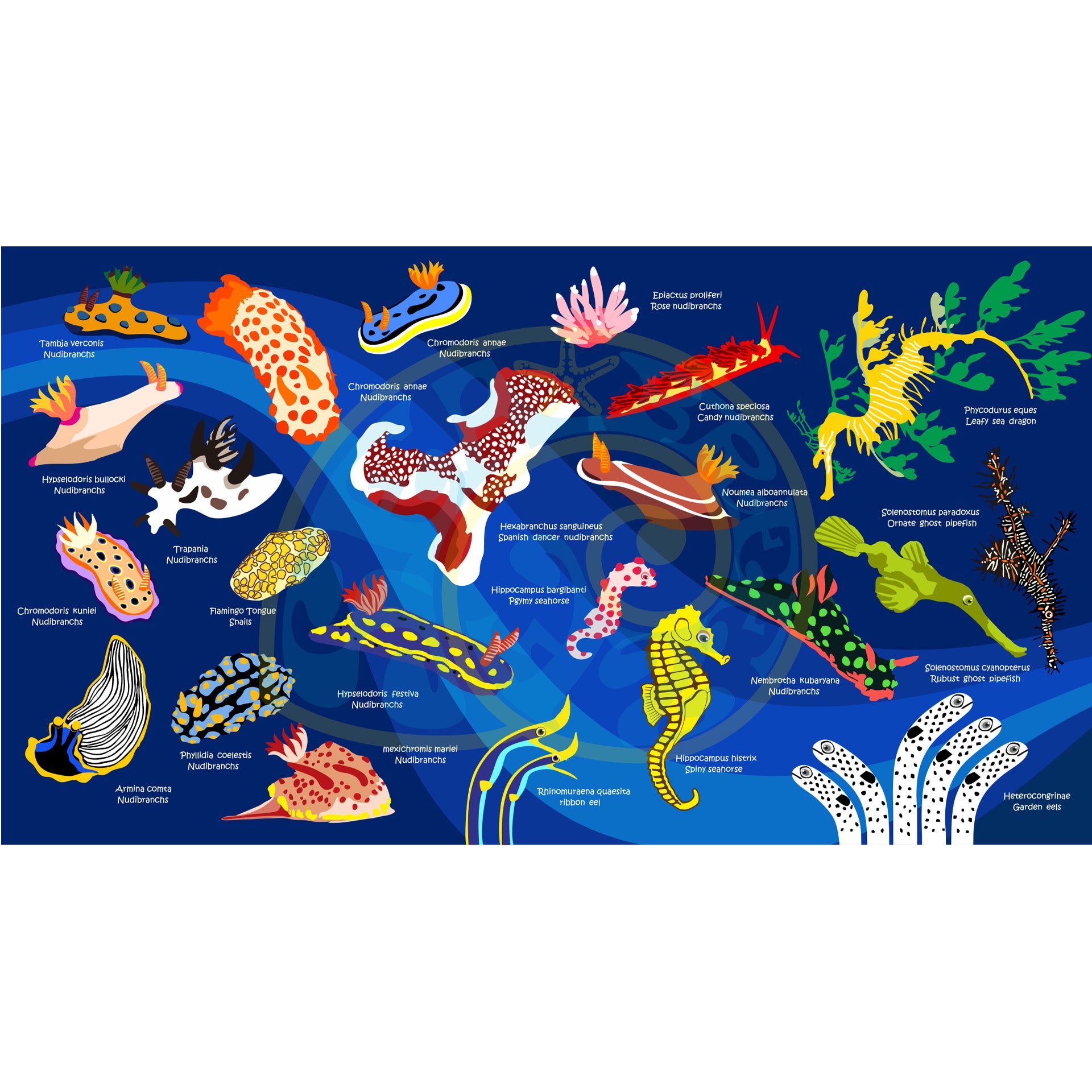 Oceanarium Dry Towel 80cm x 140cm.